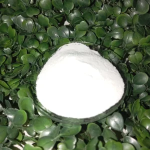 Papain Extract