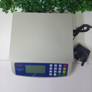 Mini Electronic Weighing Scale